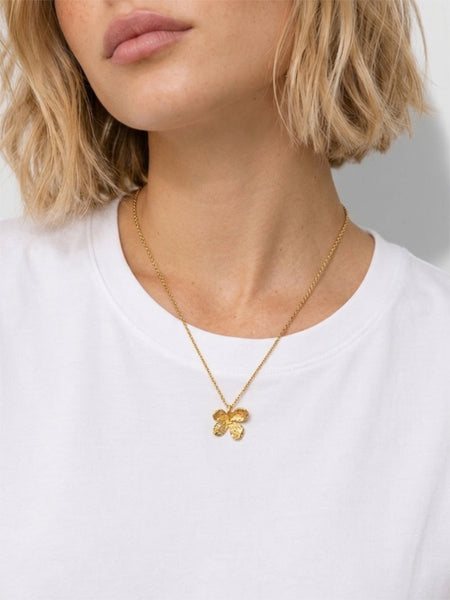Ajani Gold Plated Necklace