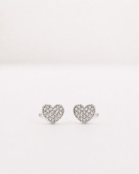 Emmett Earrings Silver Plated
