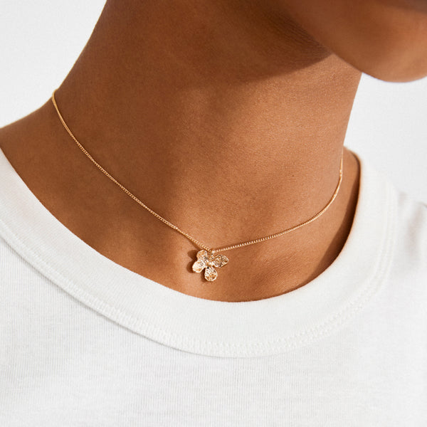Ajani Gold Plated Necklace